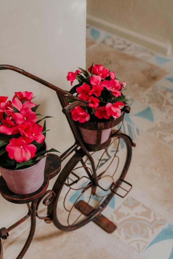 Hotel Boutique Casa Sanchez (Adults Only) 聖多明哥 外观 照片